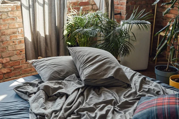 Gezellige kamer ingericht met bed en home planten — Stockfoto