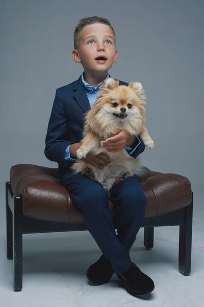 Erstauntes Kind sitzt mit Pommerschem Hund auf Stuhl — Stockfoto