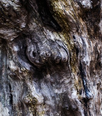 Shamanistan totem Afrika parçası