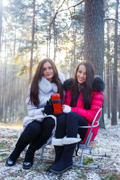 Two girls in winter forest. — Stock Photo, Image