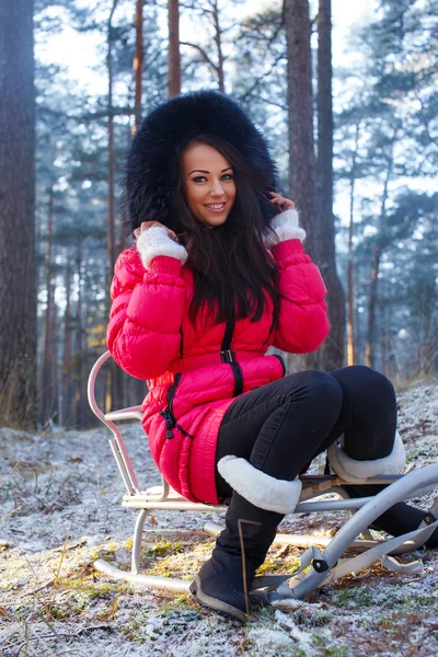 Girl posing and sitting on the sledge — Stock Photo, Image