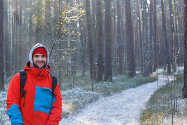 Tempo d'inverno.alcune azioni nella foresta — Foto Stock