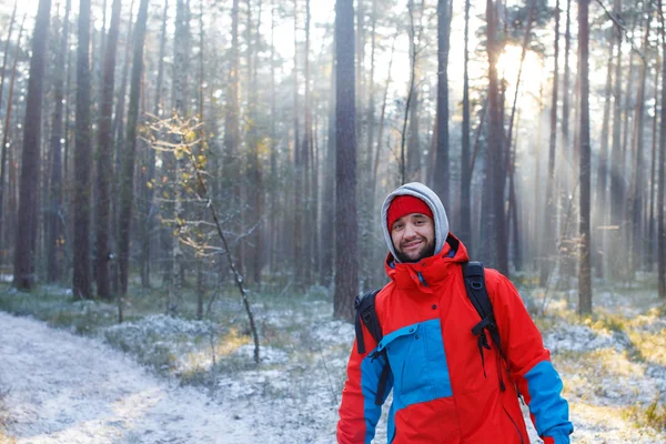 Inverno time.some ações na floresta — Fotografia de Stock