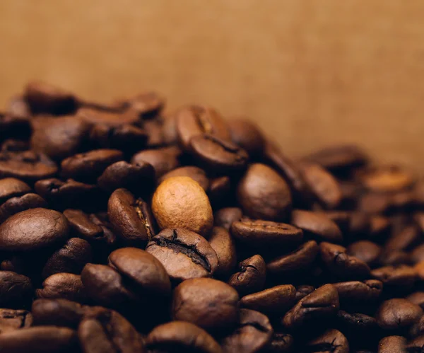 Koffie bonen in vak — Stockfoto