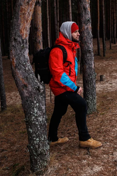 Caminhante na floresta — Fotografia de Stock