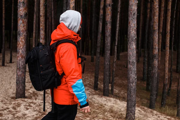 Walking in the forest — Stock Photo, Image