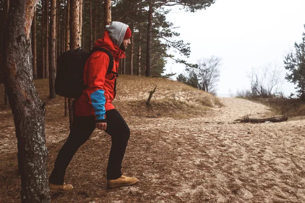 Wanderer im Wald — Stockfoto