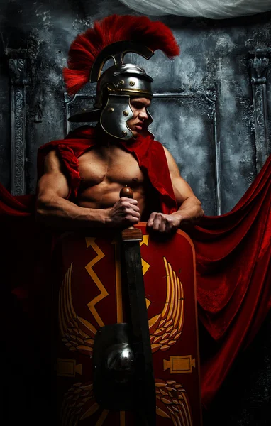 Roman good shaped warrior holds sword and schield — Stock Photo, Image