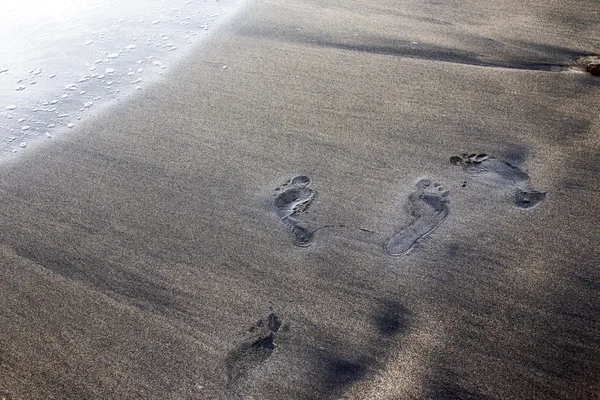 Passos molhados na areia — Fotografia de Stock