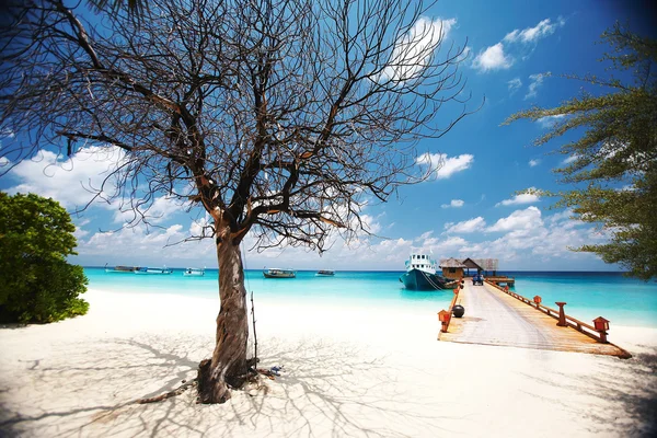 Océan, plage et ciel bleu — Photo