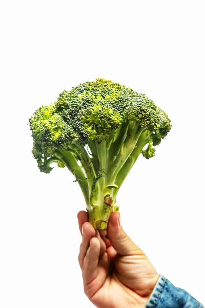 Mano con broccoli su sfondo bianco — Foto Stock