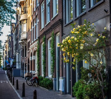 Kırmızı tuğla evler ile şehir sokak.