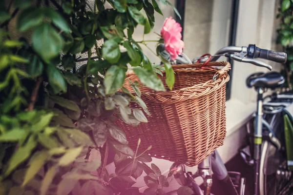 Old bicycle on the street. — Stock Photo, Image