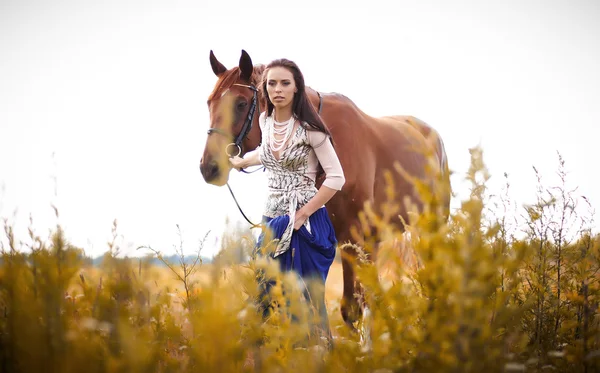 Mulher com seu cavalo marrom . — Fotografia de Stock