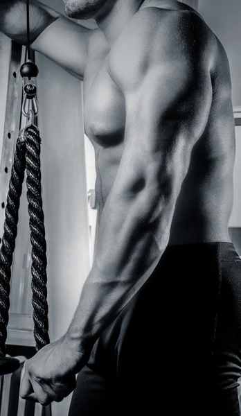 Muscular man's body. — Stock Photo, Image
