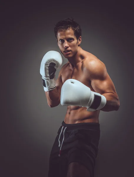 Mięśni bokser w białe rękawiczki. — Zdjęcie stockowe