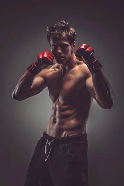 Retrato de luchador brutal en guantes rojos . — Foto de Stock