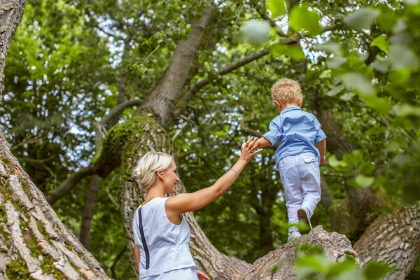 Kind spelen op grote boom. — Stockfoto