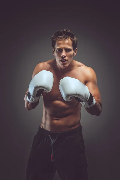 Boxeador muscular en guantes blancos . —  Fotos de Stock