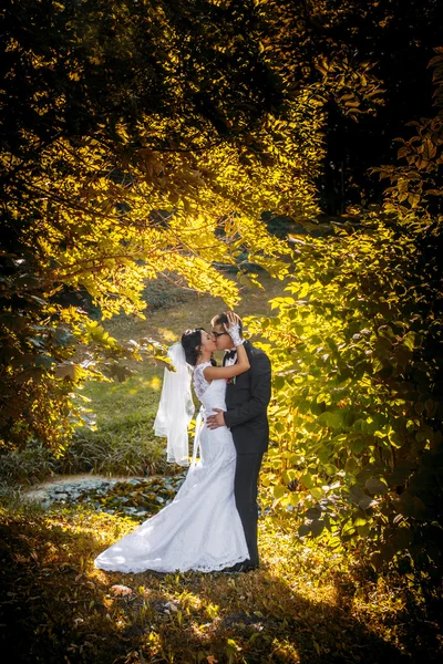 Novia y novio en la naturaleza . — Foto de Stock