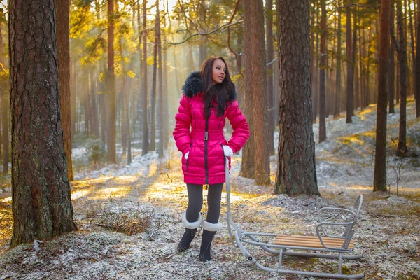 Girl in pink coat posing with sledge. — Stock Photo, Image