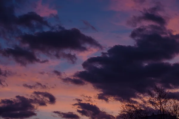 Purpurové nebe večer. — Stock fotografie