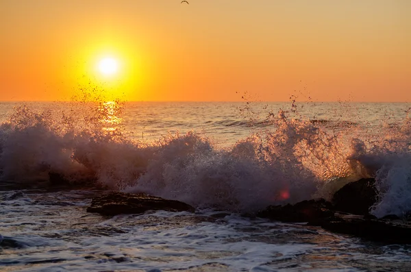 Meereswellen am Sonnenuntergang. — Stockfoto