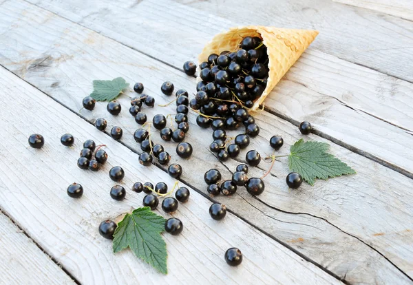 Schwarze Johannisbeeren in Waffelkegel auf rustikalem Holzgrund. Diät- und gesundes Dessert. — Stockfoto