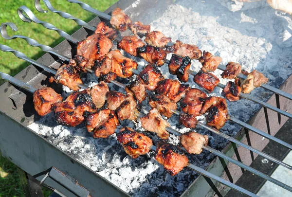 Juicy meat on charcoal. Preparing tasty chicken and pork bbq on metal skewers. Outdoors picnic concept. There is a green grass around. — Stock Photo, Image