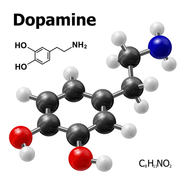 ドパミン分子の構造モデル — ストックベクタ