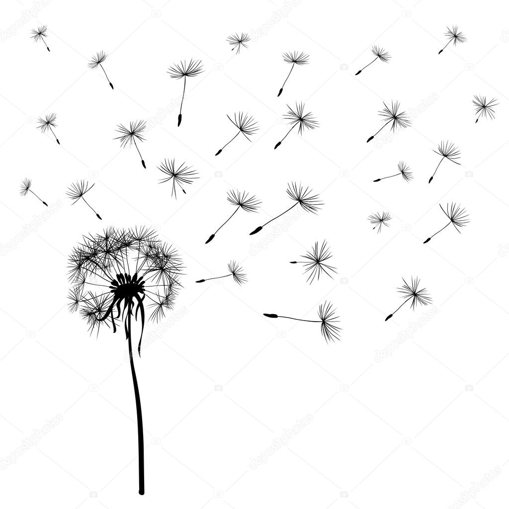 dandelions