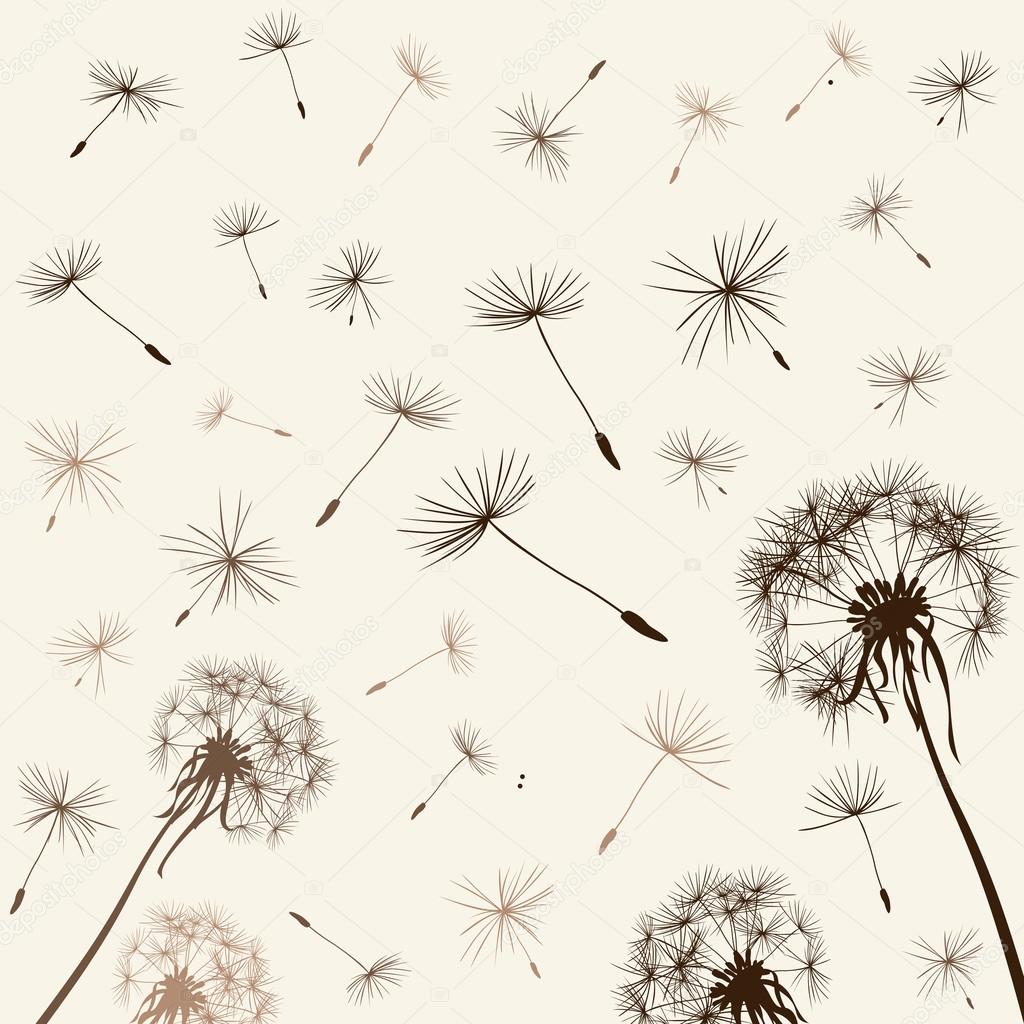 dandelions