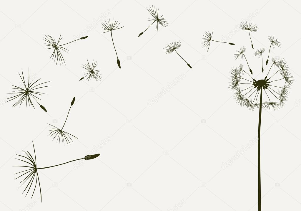 dandelions