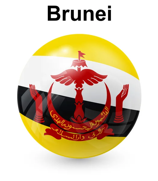 Brunei bandiera ufficiale di stato — Vettoriale Stock