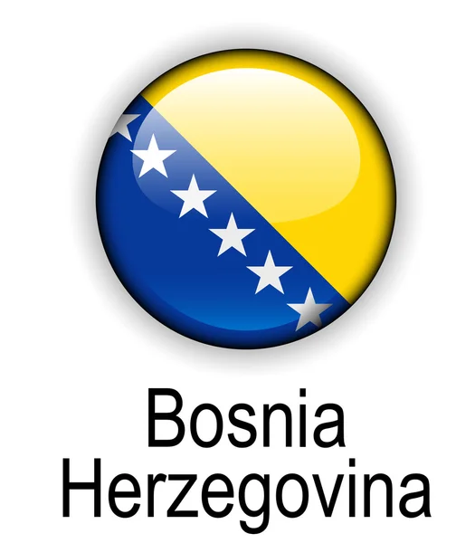 Bośnia i Hercegowina urzędowych państwa bandery — Wektor stockowy