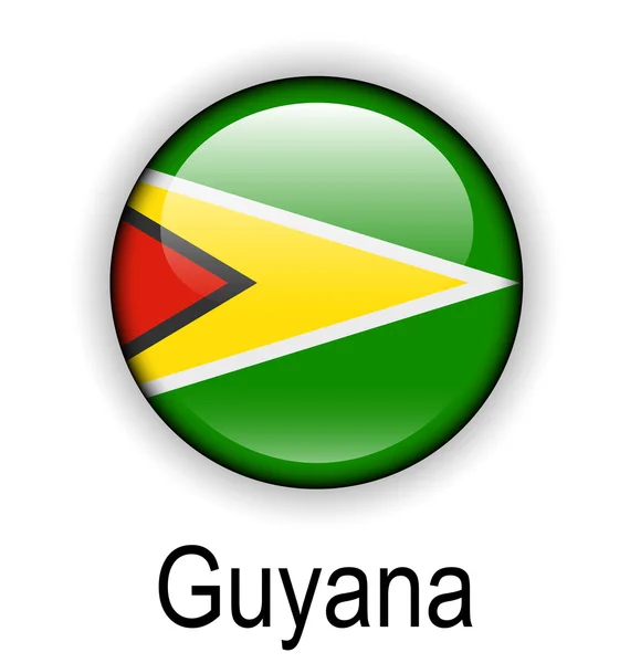 Guyana bollen flagga — Stock vektor