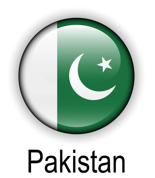 Pakistans offizielle Staatsflagge — Stockvektor