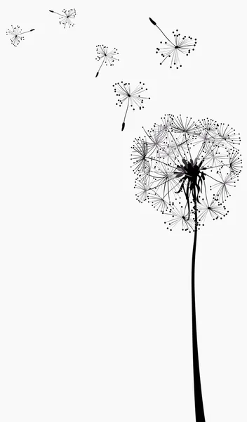 Dandelions silhouettes in the wind — Stock Vector