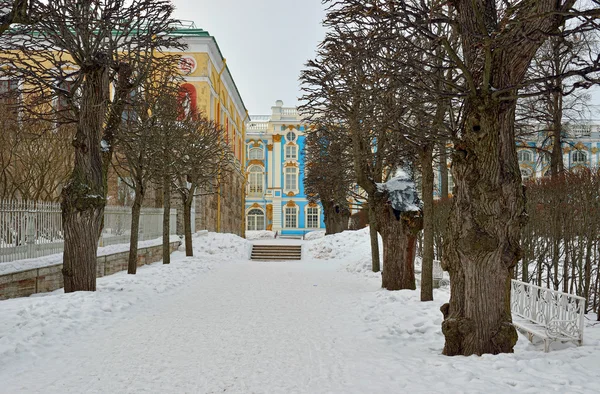 Winter alley and Catherine palace  in the Pushkin. — Stock Photo, Image