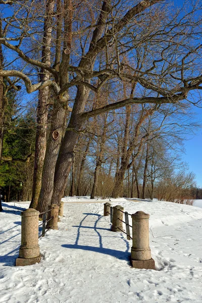 Inverno soleggiato paesaggio innevato in giardino Pushkin , Fotografia Stock