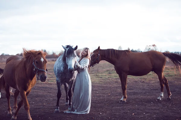 Belleza rubia con caballo en el campo, efecto de tonificación —  Fotos de Stock