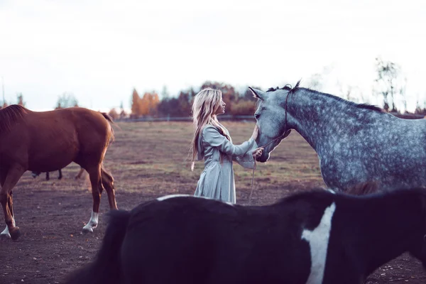 Beauty blondie with horse in the field, effect of toning — Stock Photo, Image