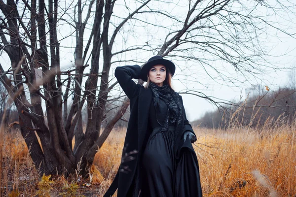 Ritratto di giovane donna attraente in cappotto e cappello nero. Paesaggio autunnale, erba secca — Foto Stock