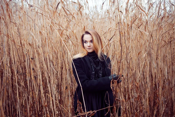 Portrait of young attractive woman in black coat and hat. Autumn landscape, dry grass — Stock Photo, Image