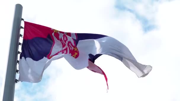 Bandera serbia ondeando en el viento. Bandera nacional contra un cielo azul, — Vídeos de Stock