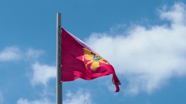 Флаг Черногории развевается на ветру. Государственный флаг против голубого неба, — стоковое видео