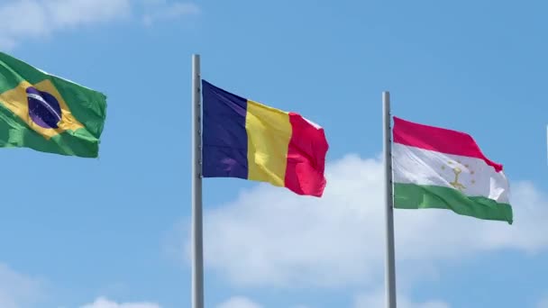 Flag fluttering in the wind. National flag against a blue sky, — Stock Video