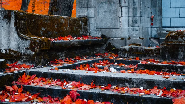 El antiguo cementerio católico en el otoño. Tumbas abandonadas — Foto de Stock