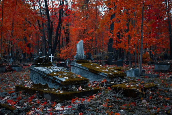 The old Catholic cemetery in the fall. Abandoned graves — Stock Photo, Image