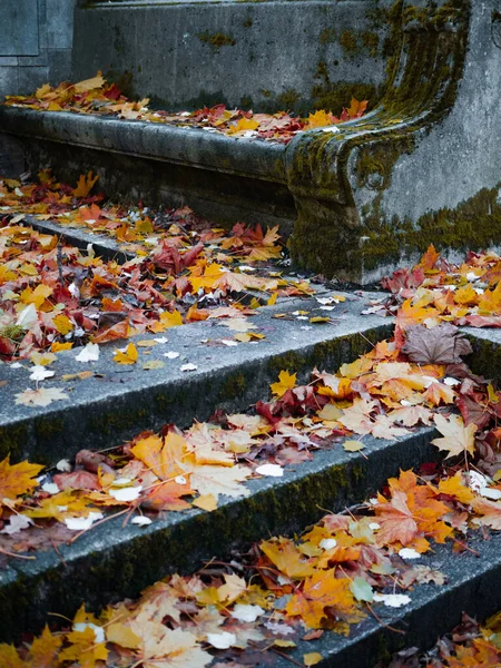 Sonbaharda eski Katolik mezarlığı. Terk edilmiş mezarlar — Stok fotoğraf